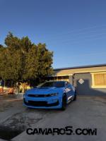 IMG_5113 Small.jpeg